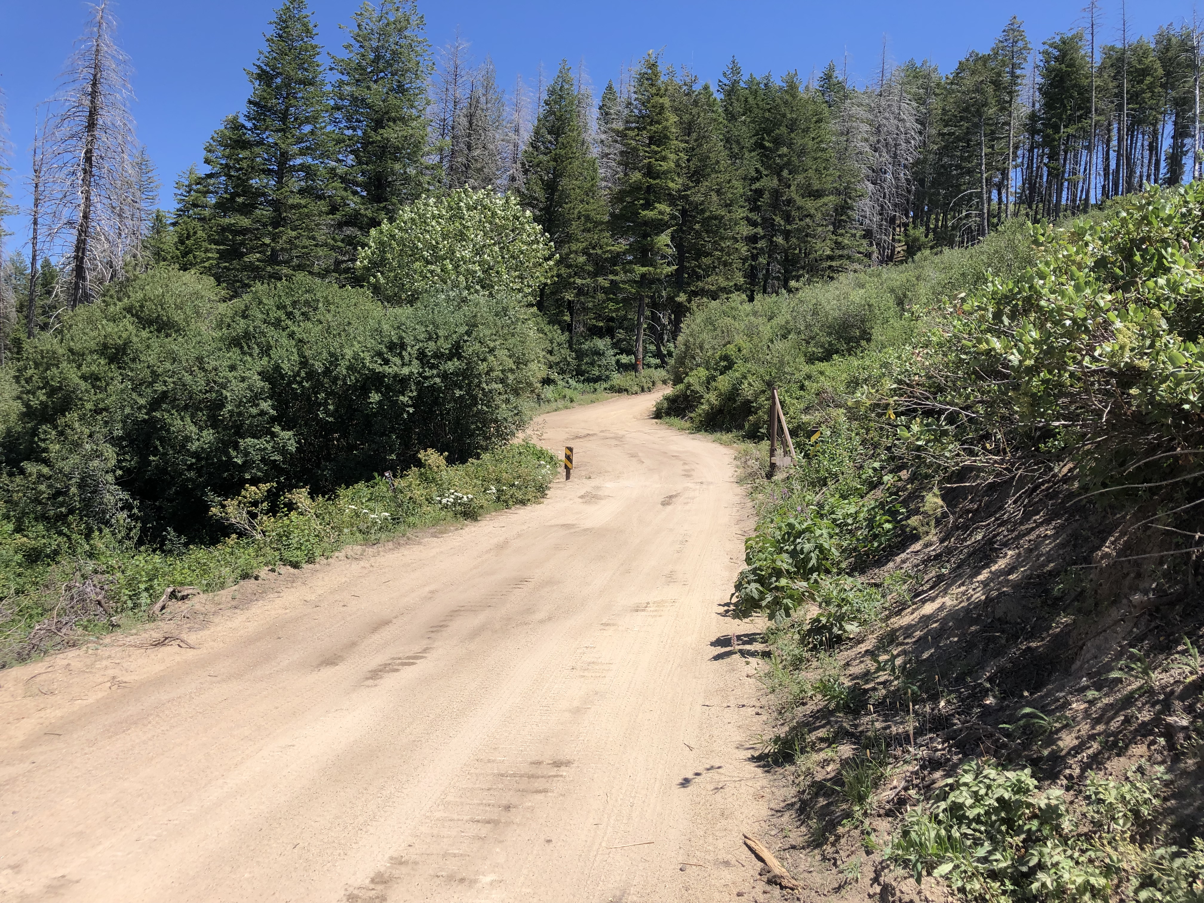 bikepacking_shafer_butte_02