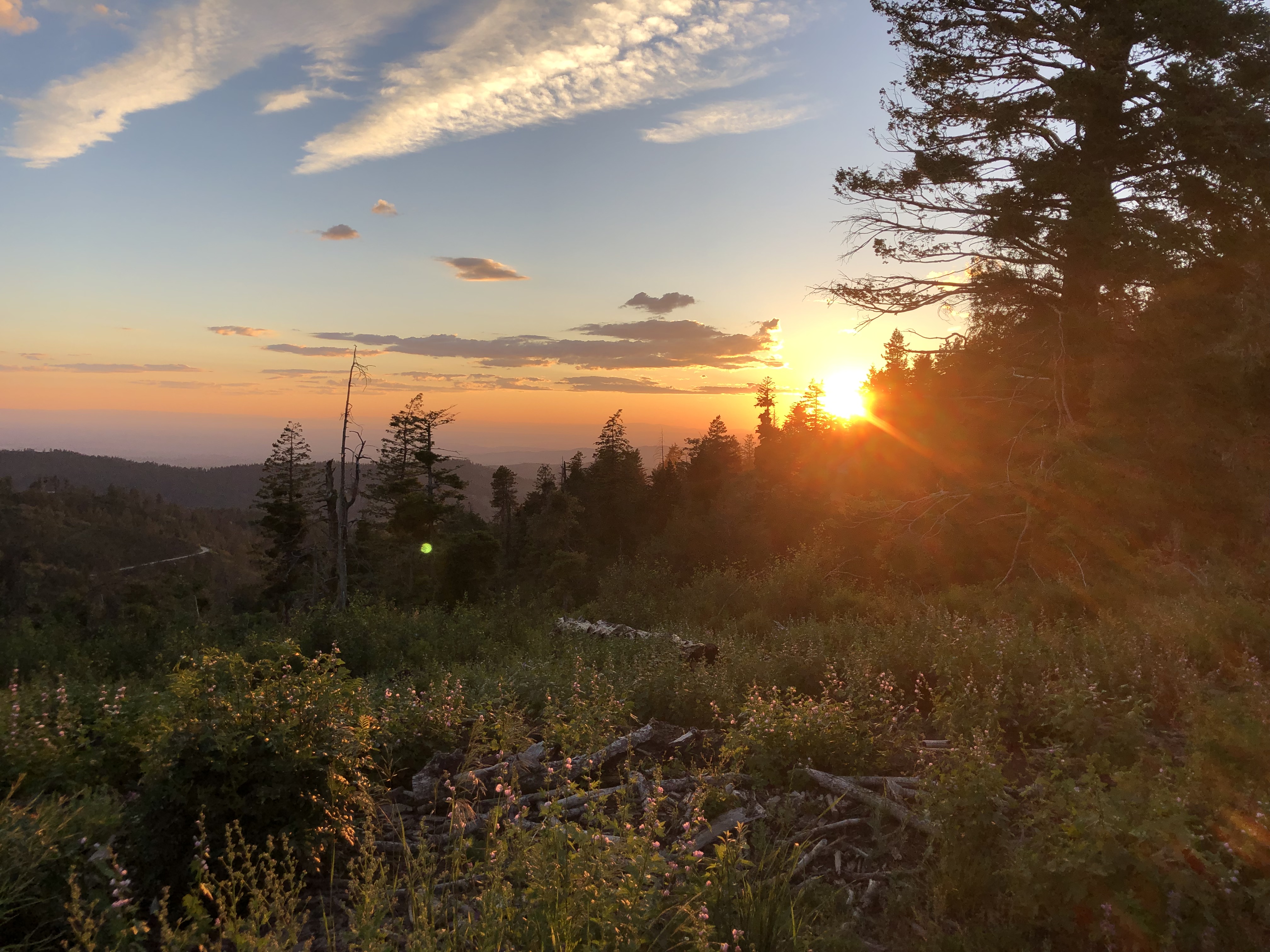 bikepacking_shafer_butte_07