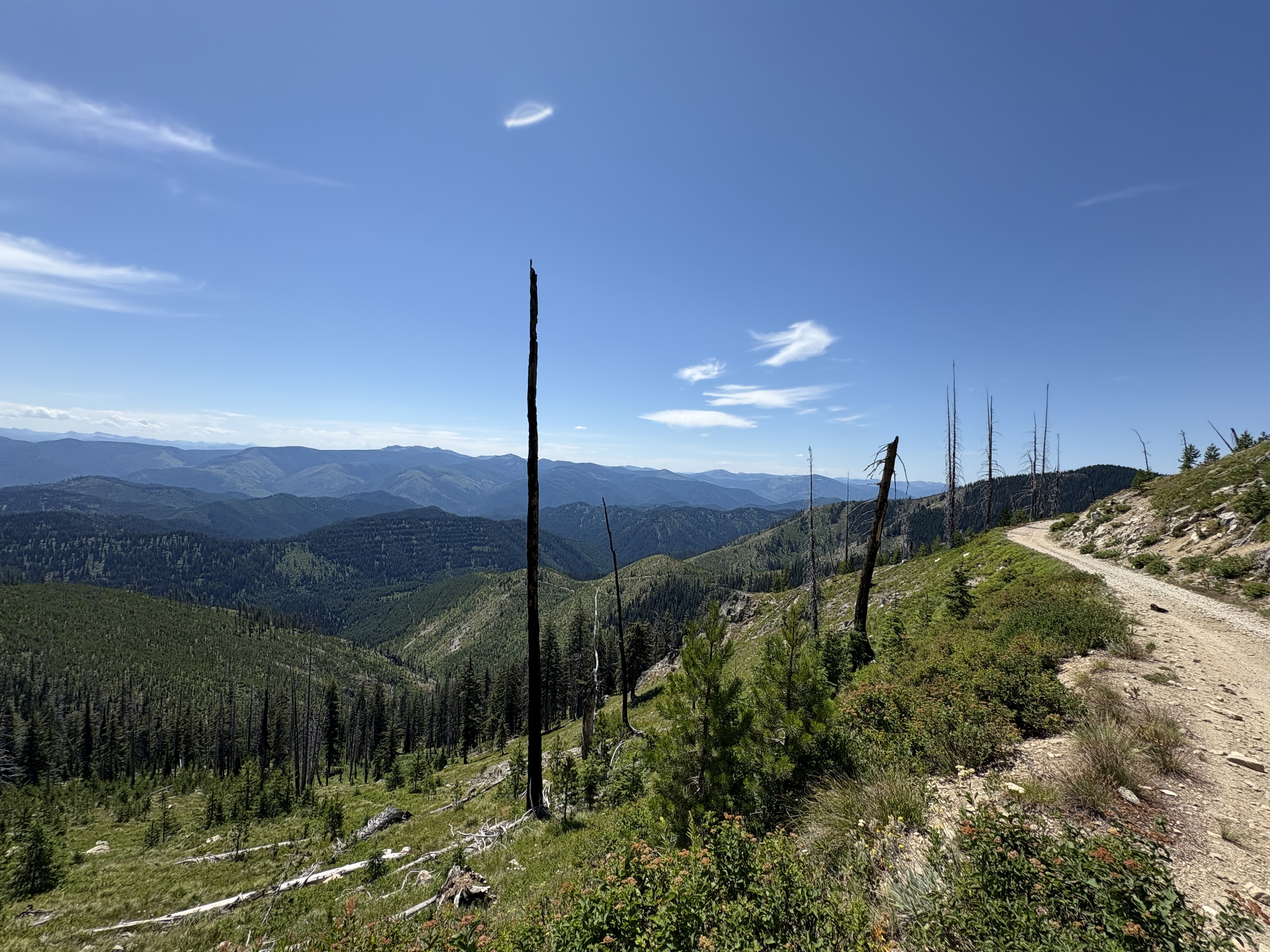 lolo_trail_03