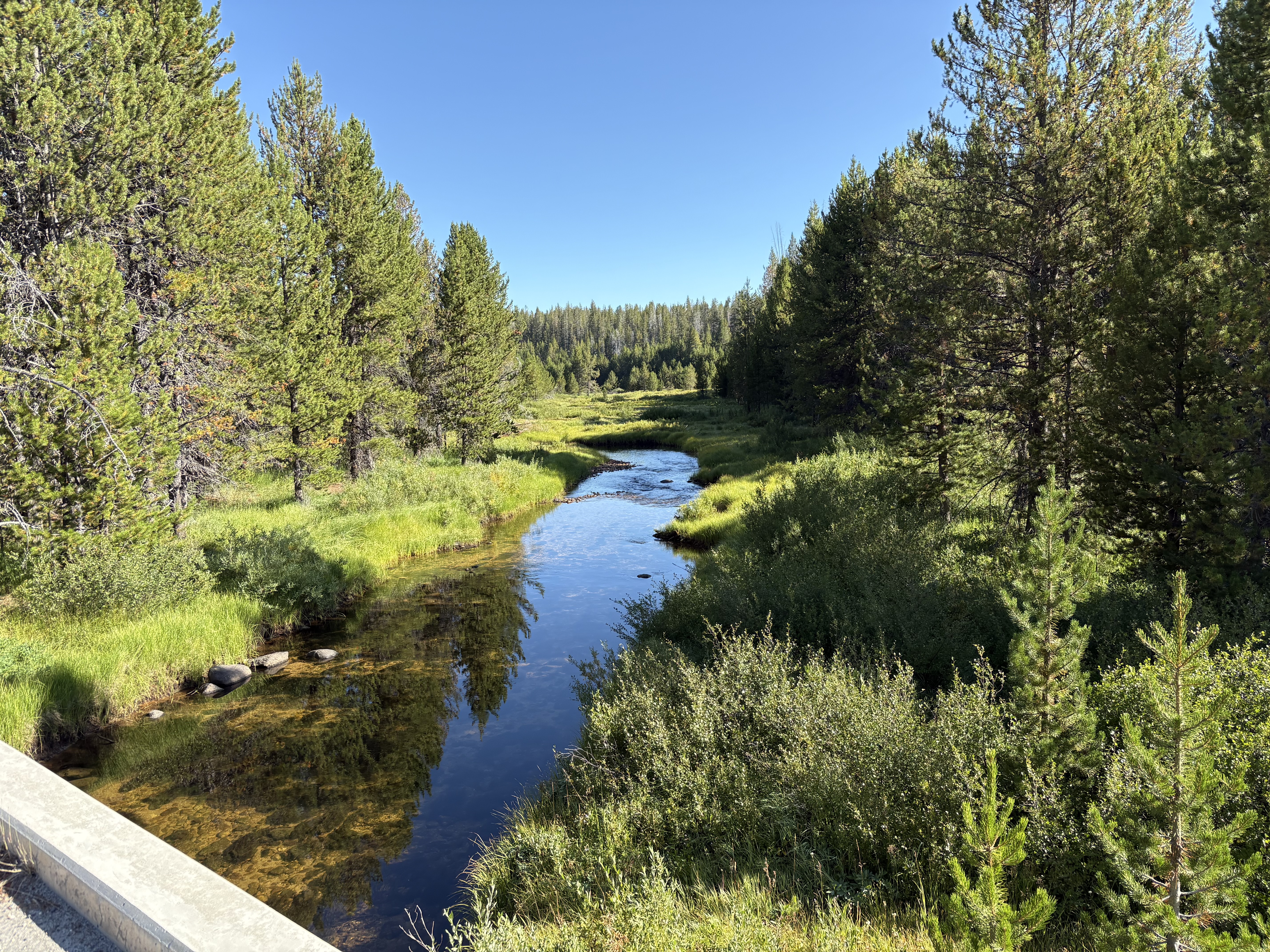 bikepacking_snf_rev_102