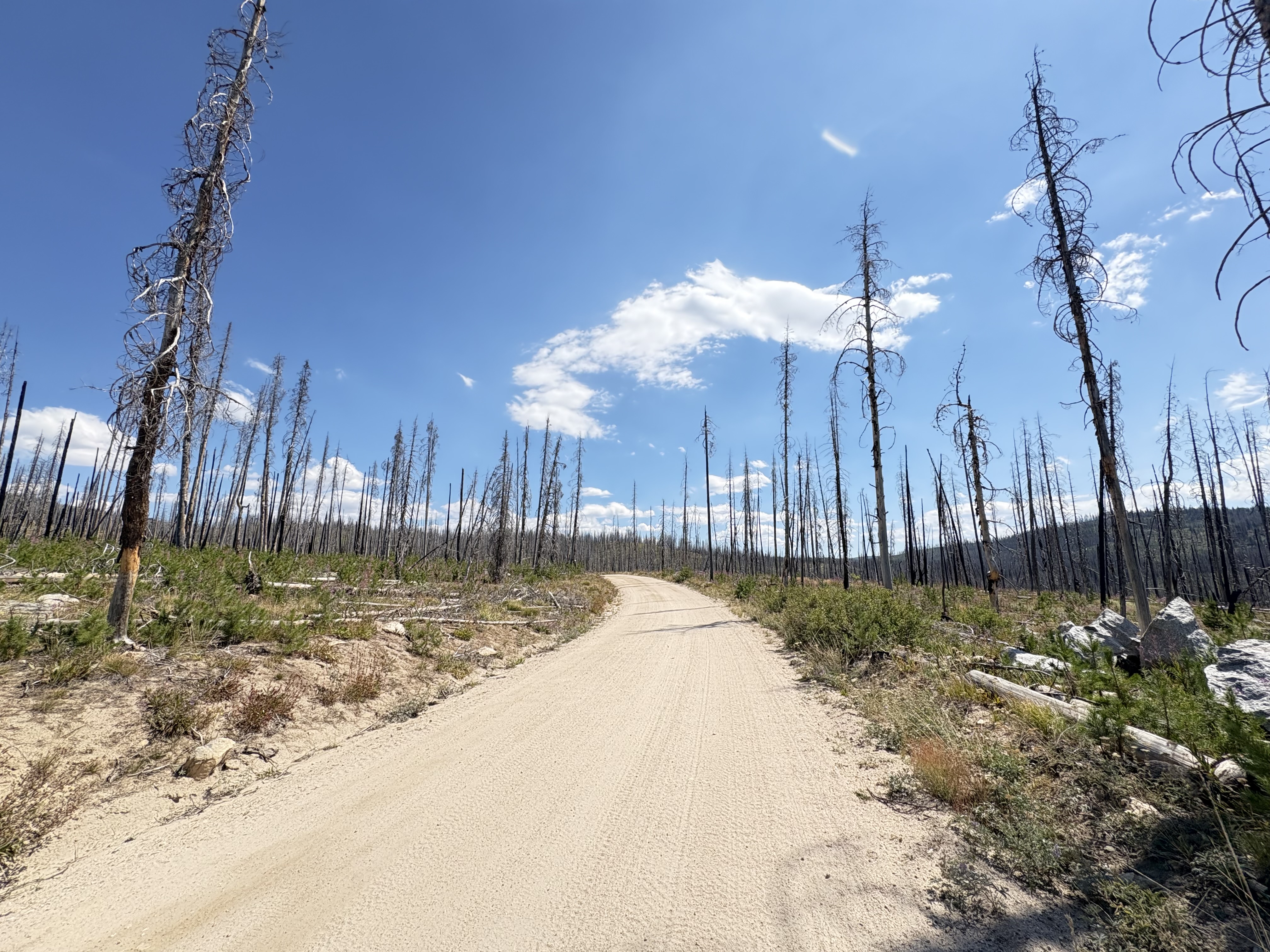 bikepacking_snf_rev_105