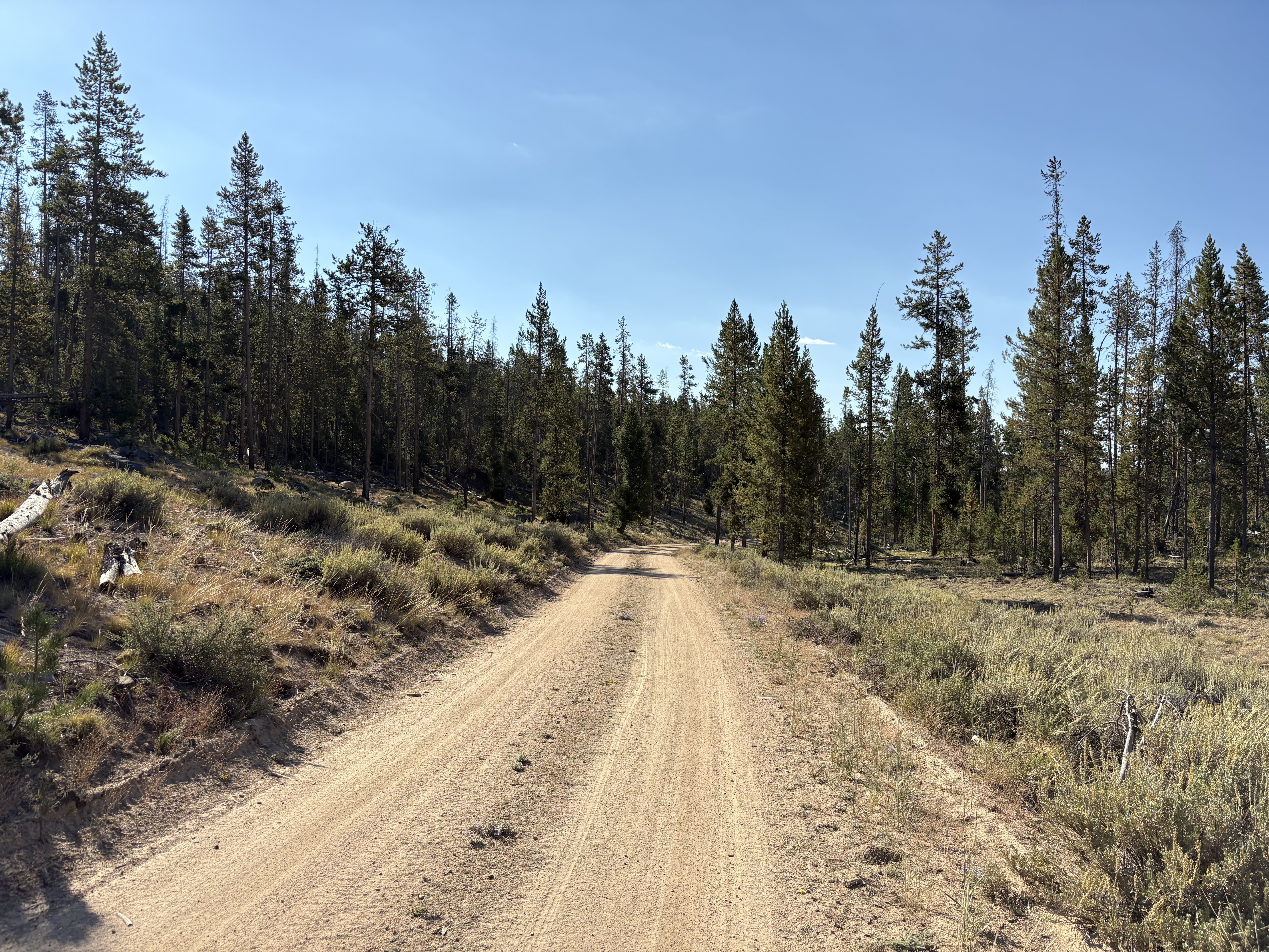 bikepacking_snf_rev_203