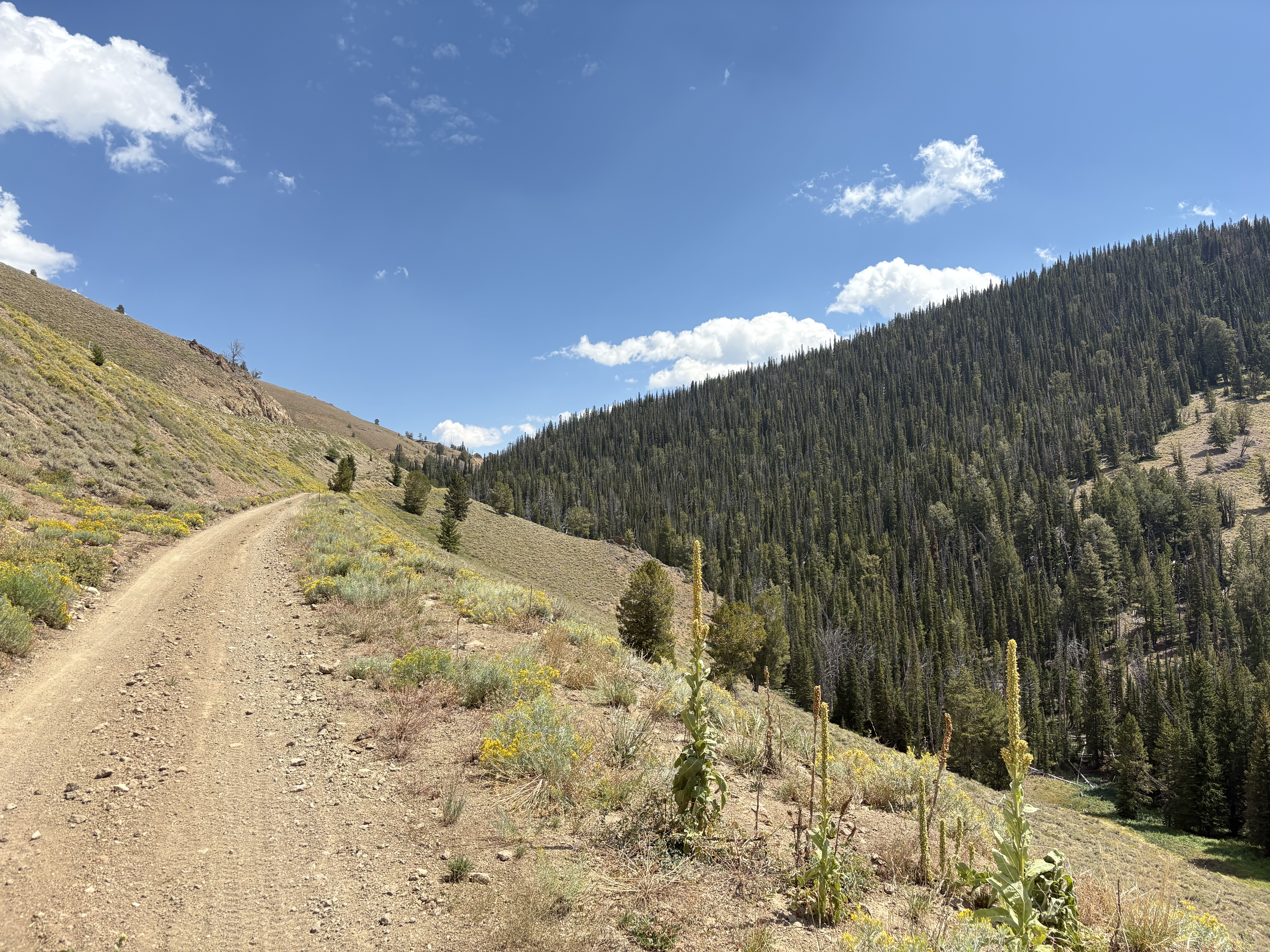 bikepacking_snf_rev_206
