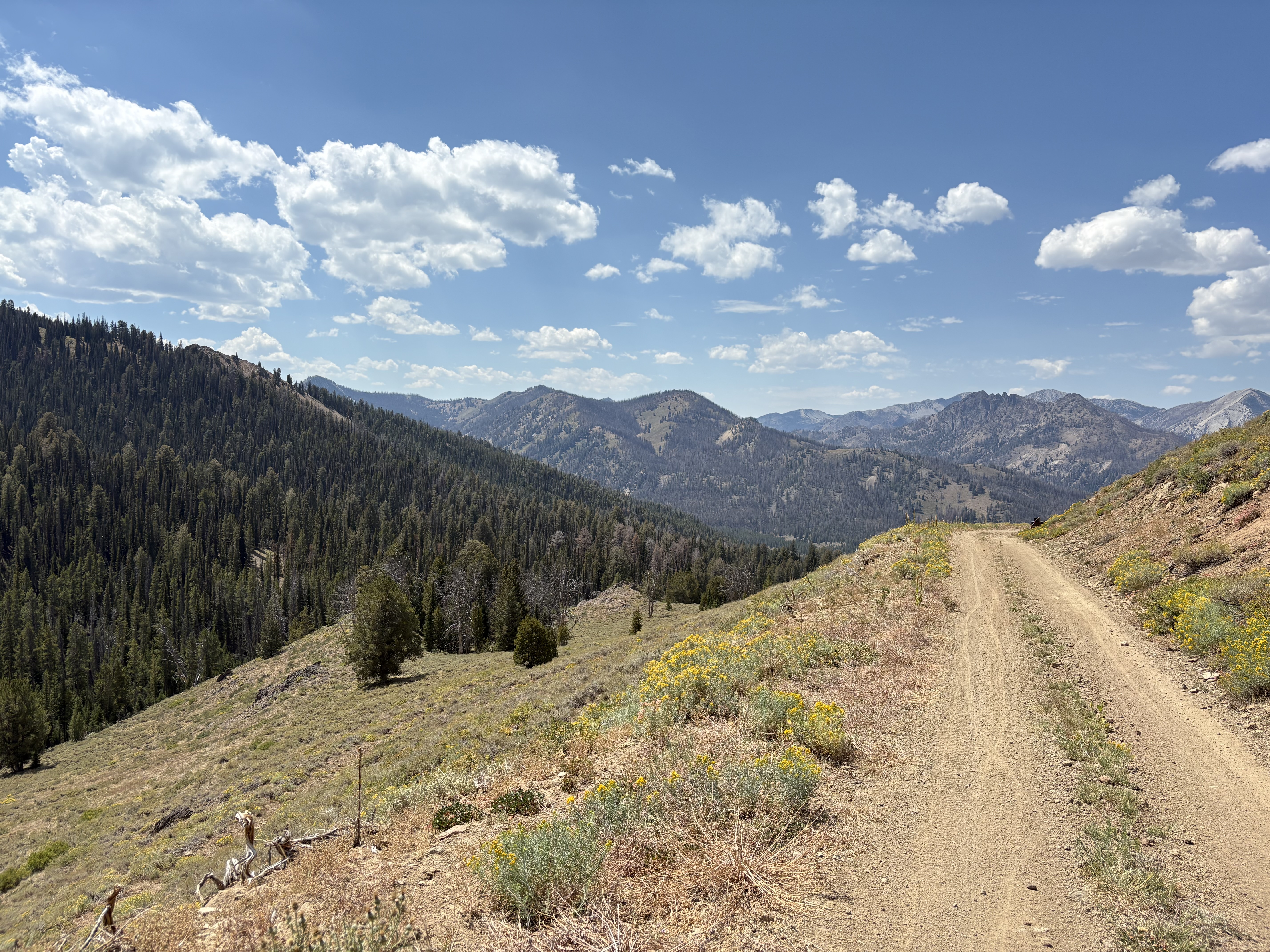 bikepacking_snf_rev_207