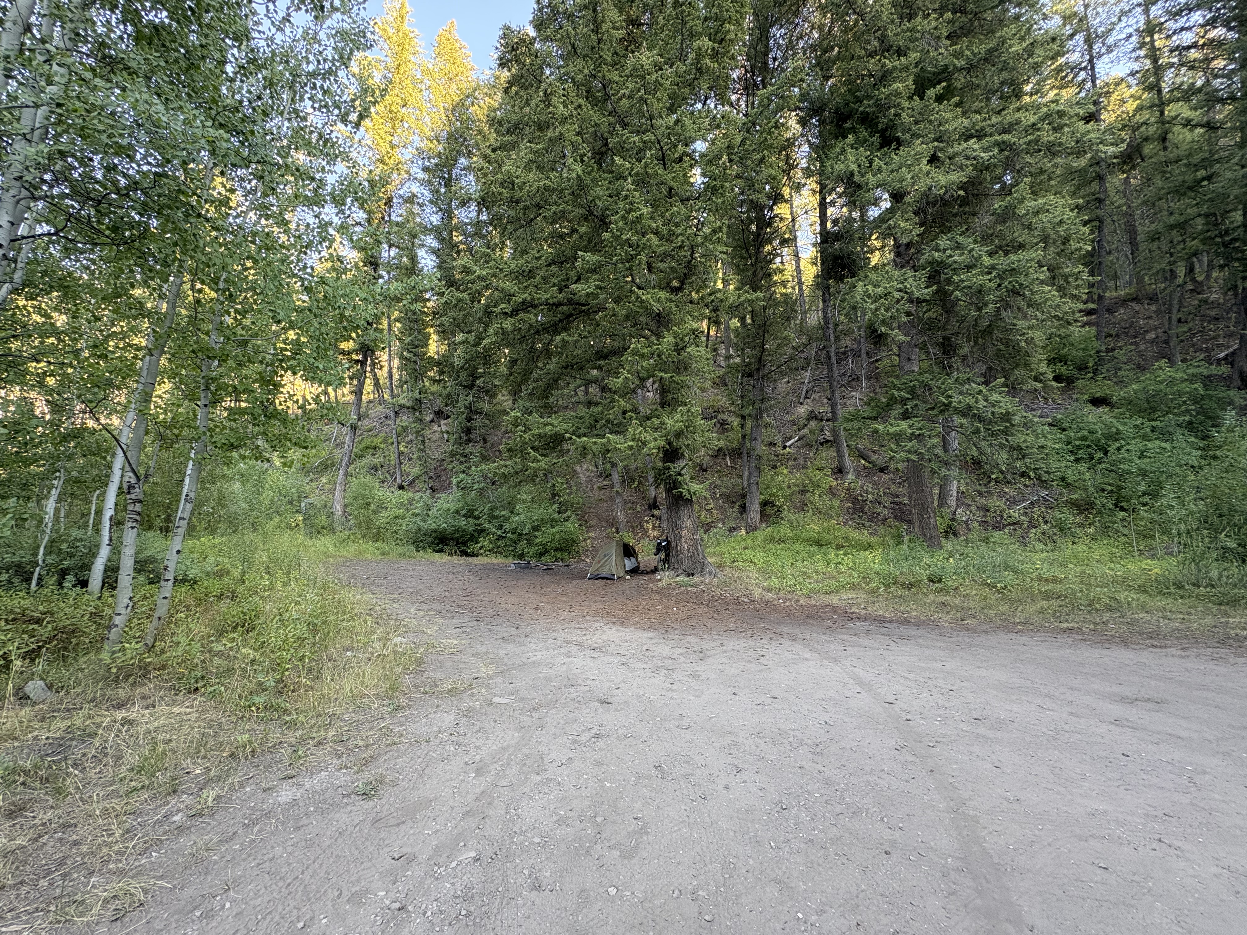 bikepacking_snf_rev_210