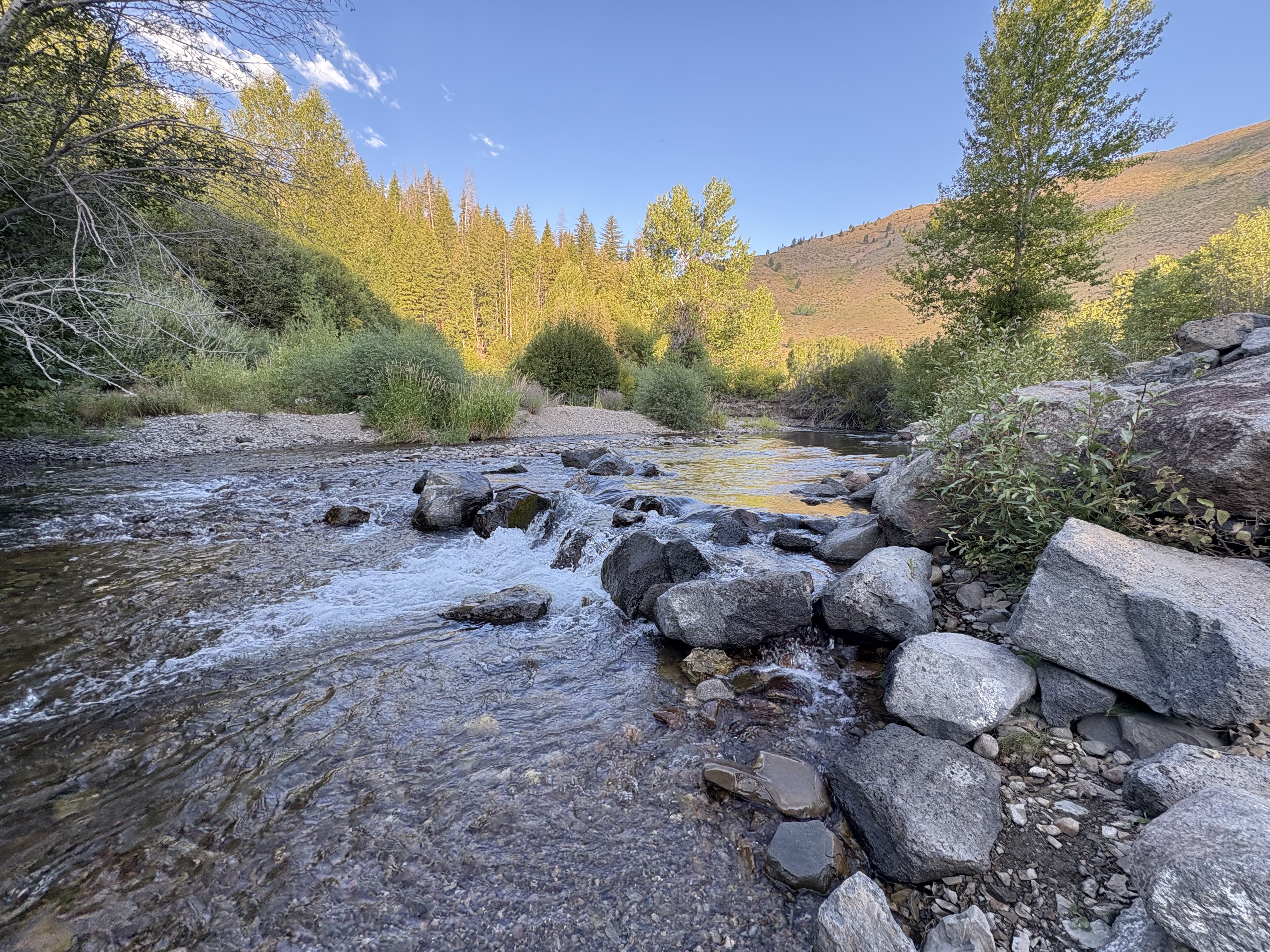 bikepacking_snf_rev_301