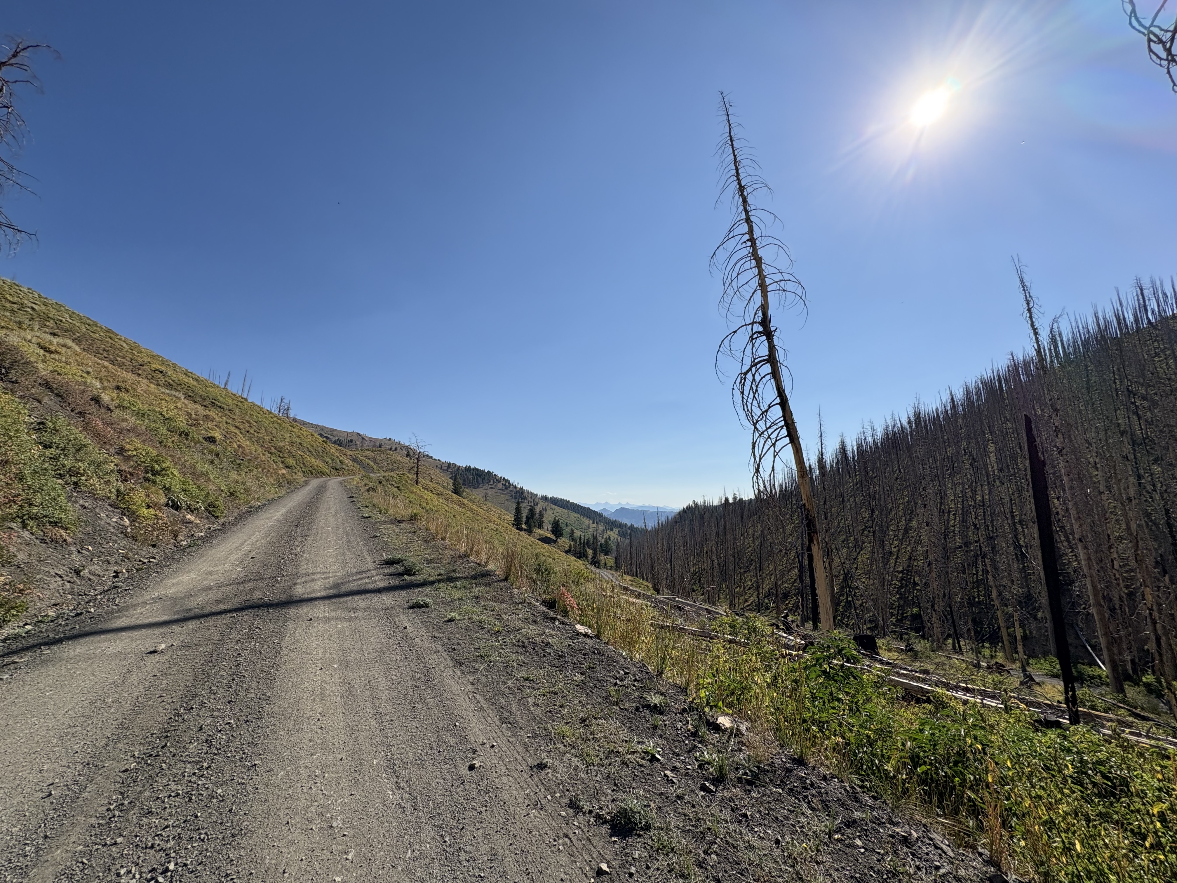 bikepacking_snf_rev_302