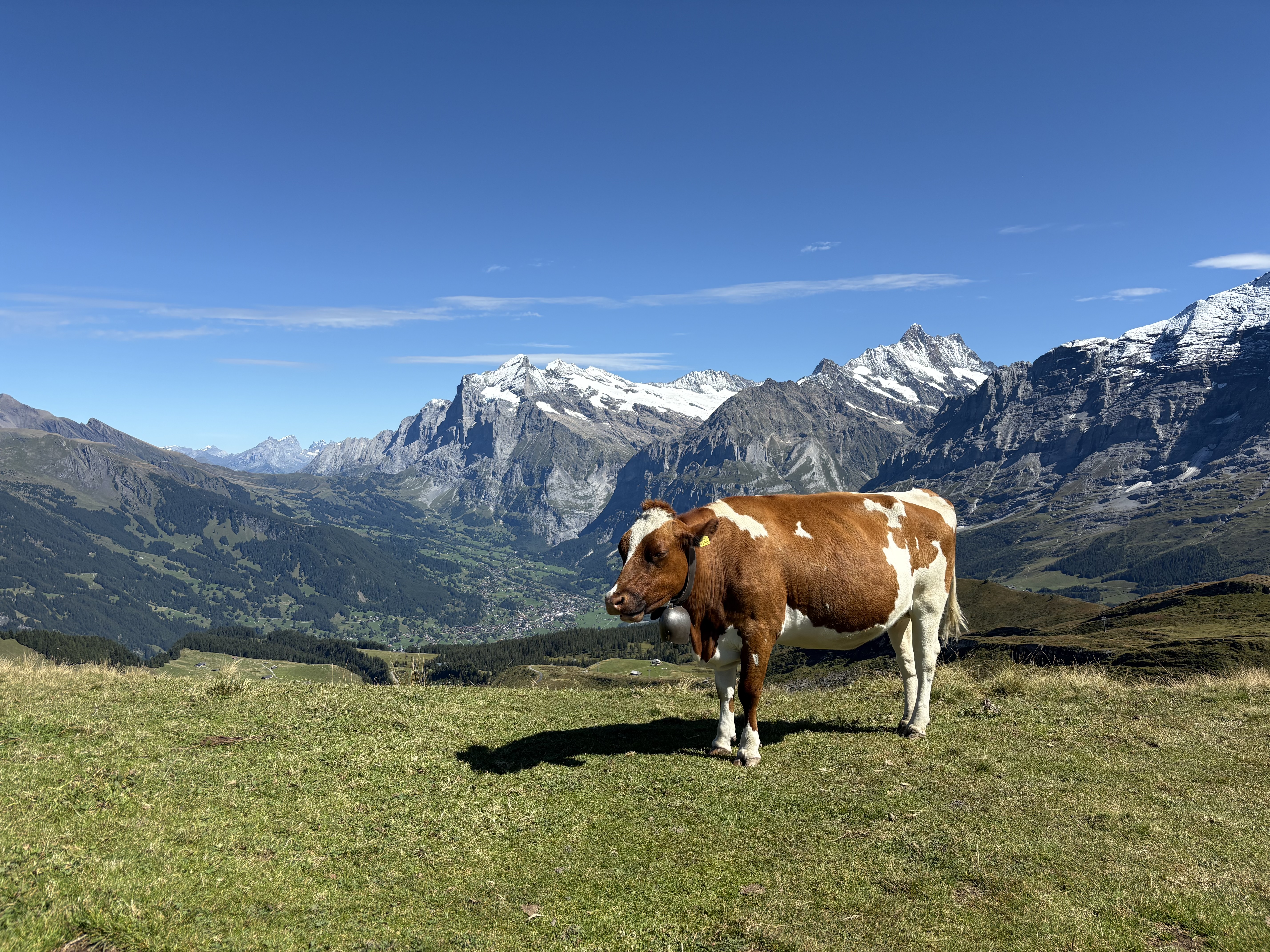 switzerland_18